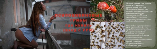 таблы Вяземский