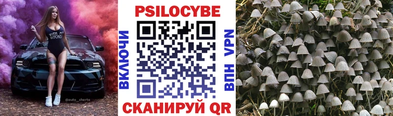 Галлюциногенные грибы мицелий Жуков